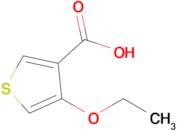 4-Ethoxythiophene-3-carboxylic acid