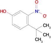 4-(Tert-butyl)-3-nitrophenol