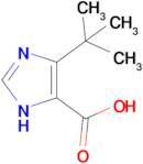 4-tert-butyl-1H-imidazole-5-carboxylic acid