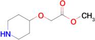 Methyl 2-(piperidin-4-yloxy)acetate