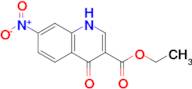 Ethyl 7-nitro-4-oxo-1,4-dihydroquinoline-3-carboxylate