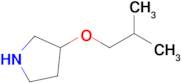 3-Isobutoxypyrrolidine