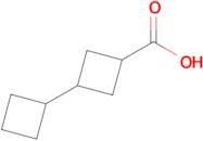 [1,1'-Bi(cyclobutane)]-3-carboxylic acid