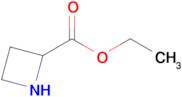 Ethyl azetidine-2-carboxylate