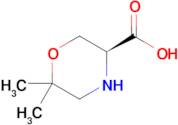 (S)-6,6-dimethylmorpholine-3-carboxylic acid