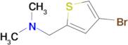 1-(4-Bromothiophen-2-yl)-N,N-dimethylmethanamine