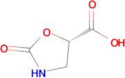 (S)-2-oxooxazolidine-5-carboxylic acid
