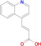 (E)-3-(quinolin-4-yl)acrylic acid