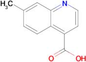 7-Methylquinoline-4-carboxylic acid