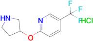 2-(Pyrrolidin-3-yloxy)-5-(trifluoromethyl)pyridine hydrochloride