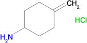 4-Methylenecyclohexan-1-amine hydrochloride