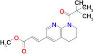 Methyl (E)-3-(8-pivaloyl-5,6,7,8-tetrahydro-1,8-naphthyridin-3-yl)acrylate