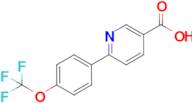 6-(4-(Trifluoromethoxy)phenyl)nicotinic acid