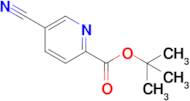 Tert-butyl 5-cyanopicolinate