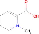 1-Methyl-1,4,5,6-tetrahydropyridine-2-carboxylic acid