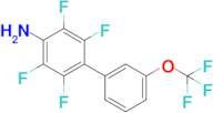 2,3,5,6-Tetrafluoro-3'-(trifluoromethoxy)-[1,1'-biphenyl]-4-amine