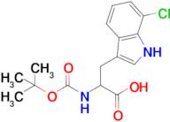 2-((Tert-butoxycarbonyl)amino)-3-(7-chloro-1H-indol-3-yl)propanoic acid