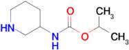 Isopropyl piperidin-3-ylcarbamate