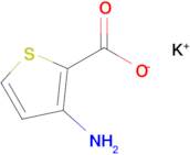 Potassium 3-aminothiophene-2-carboxylate