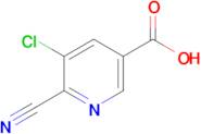 5-Chloro-6-cyanonicotinic acid