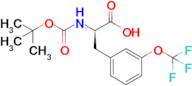 (R)-2-((tert-butoxycarbonyl)amino)-3-(3-(trifluoromethoxy)phenyl)propanoic acid