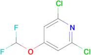 2,6-Dichloro-4-(difluoromethoxy)pyridine