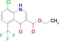 ethyl 8-chloro-4-oxo-5-(trifluoromethyl)-1,4-dihydroquinoline-3-carboxylate