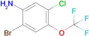 2-Bromo-5-chloro-4-(trifluoromethoxy)aniline