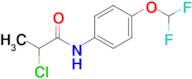 2-Chloro-N-(4-(difluoromethoxy)phenyl)propanamide