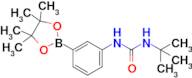 1-(Tert-butyl)-3-(3-(4,4,5,5-tetramethyl-1,3,2-dioxaborolan-2-yl)phenyl)urea