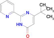 6-tert-butyl-2-(pyridin-2-yl)-3,4-dihydropyrimidin-4-one