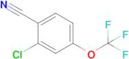 2-Chloro-4-(trifluoromethoxy)benzonitrile