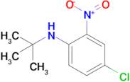 N-(tert-butyl)-4-chloro-2-nitroaniline