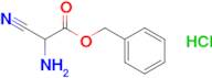 Benzyl 2-amino-2-cyanoacetate hydrochloride