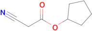 Cyclopentyl 2-cyanoacetate