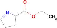 Ethyl 3,4-dihydro-2H-pyrrole-2-carboxylate