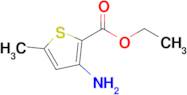 Ethyl 3-amino-5-methylthiophene-2-carboxylate