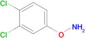 O-(3,4-dichlorophenyl)hydroxylamine