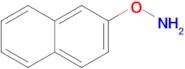 O-(naphthalen-2-yl)hydroxylamine