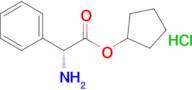 Cyclopentyl (R)-2-amino-2-phenylacetate hydrochloride