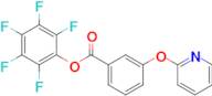 Perfluorophenyl 3-(pyridin-2-yloxy)benzoate