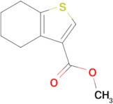 Methyl 4,5,6,7-tetrahydrobenzo[b]thiophene-3-carboxylate