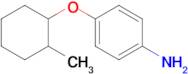 4-((2-Methylcyclohexyl)oxy)aniline