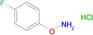 O-(4-fluorophenyl)hydroxylamine hydrochloride