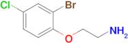 2-(2-Bromo-4-chlorophenoxy)ethan-1-amine