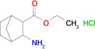 Ethyl 3-aminobicyclo[2.2.1]Heptane-2-carboxylate hydrochloride