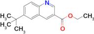 Ethyl 6-(tert-butyl)quinoline-3-carboxylate