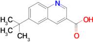 6-(Tert-butyl)quinoline-3-carboxylic acid