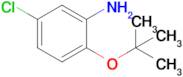 2-(Tert-butoxy)-5-chloroaniline