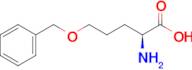 (S)-2-amino-5-(benzyloxy)pentanoic acid